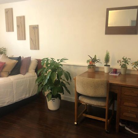 Quiet-Comfy 3 Bedroom Home On A Tree Lined Street In Kits فانكوفر المظهر الخارجي الصورة