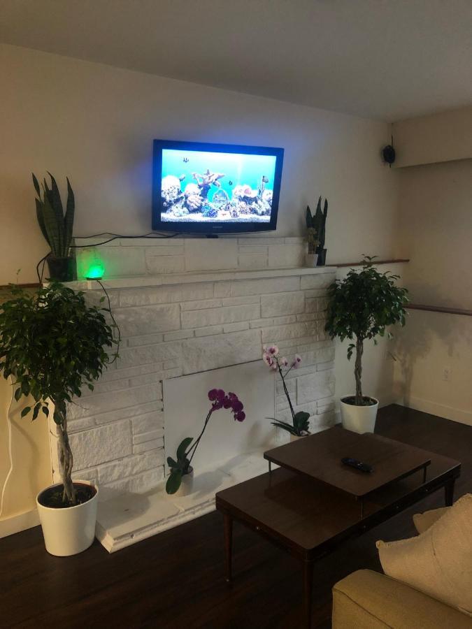 Quiet-Comfy 3 Bedroom Home On A Tree Lined Street In Kits فانكوفر المظهر الخارجي الصورة