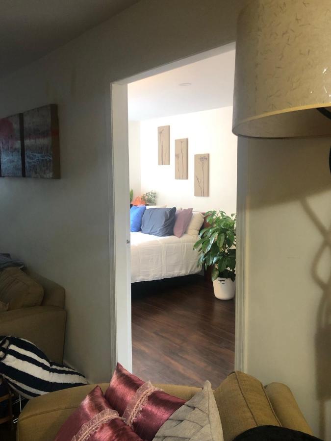 Quiet-Comfy 3 Bedroom Home On A Tree Lined Street In Kits فانكوفر المظهر الخارجي الصورة