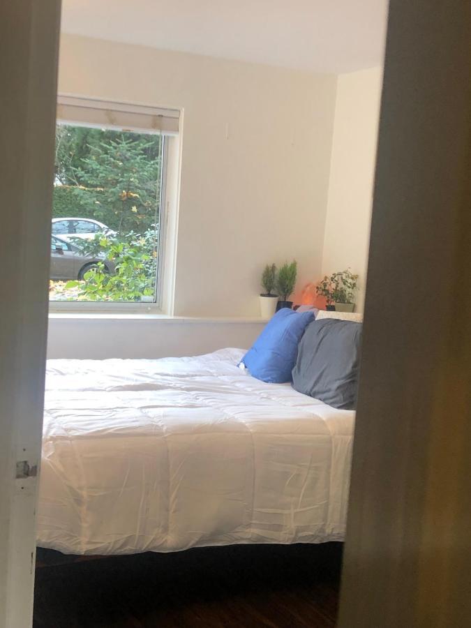 Quiet-Comfy 3 Bedroom Home On A Tree Lined Street In Kits فانكوفر المظهر الخارجي الصورة