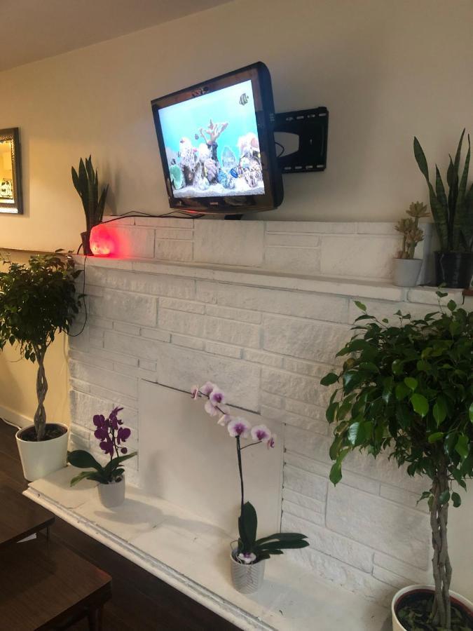 Quiet-Comfy 3 Bedroom Home On A Tree Lined Street In Kits فانكوفر المظهر الخارجي الصورة